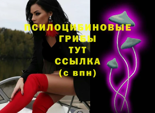 ешки Армянск