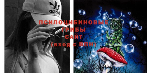 амф Алексин