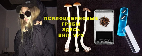 амф Алексин