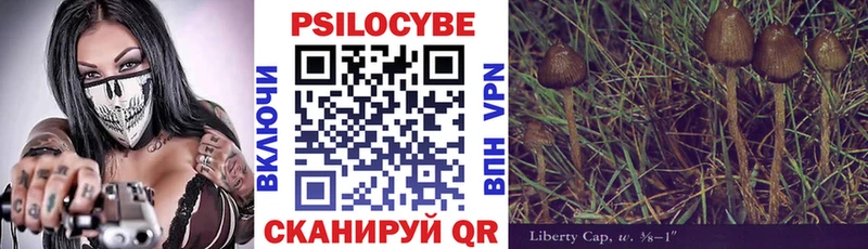 Галлюциногенные грибы MAGIC MUSHROOMS  Судогда 